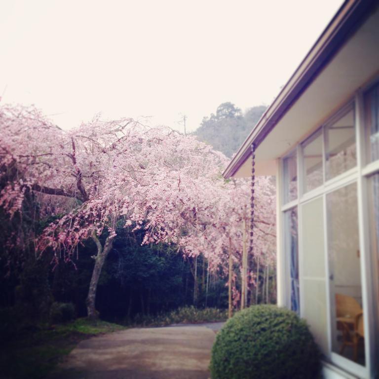 Amanohashidate Youth Hostel Miyazu Exteriör bild