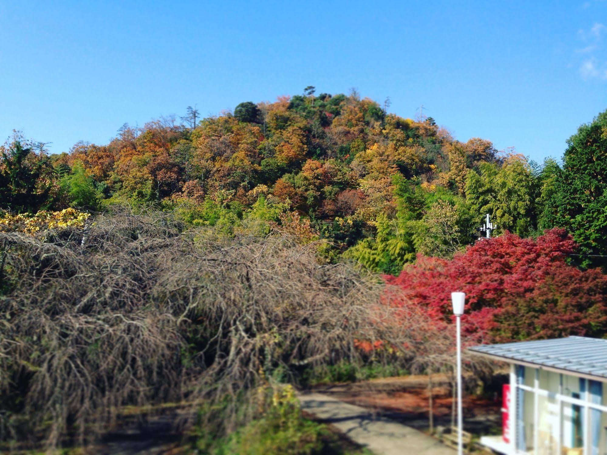 Amanohashidate Youth Hostel Miyazu Exteriör bild